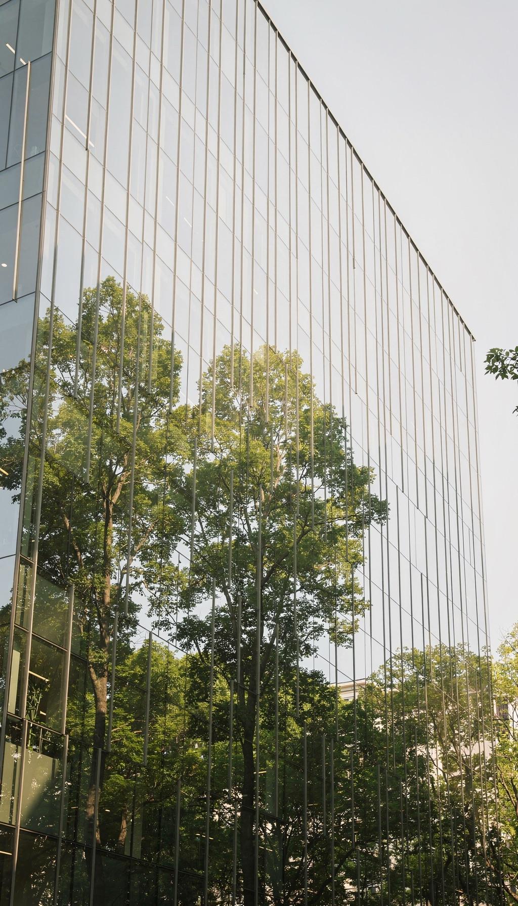 Glazen gevel van een kantoorgebouw met weerspiegeling van bomen.